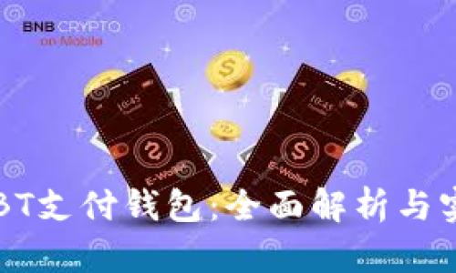 区块链BT支付钱包：全面解析与实用指南