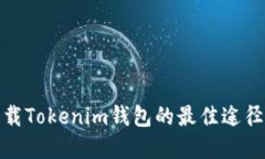安全下载Tokenim钱包的最佳途径与建议