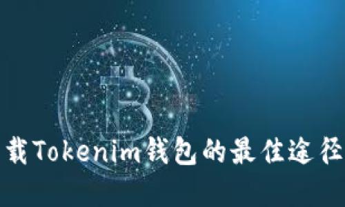 安全下载Tokenim钱包的最佳途径与建议