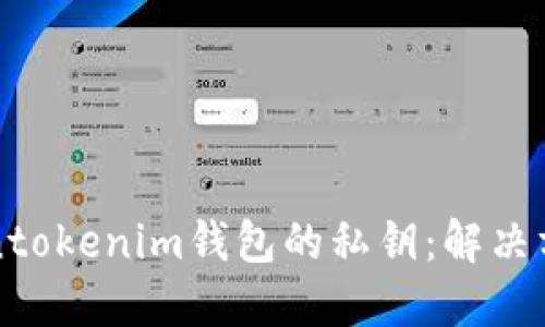 如何找回Tokentokenim钱包的私钥：解决方案与步骤指南