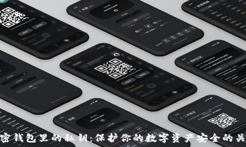  
加密钱包里的私钥：保护你的数字资产安全的关键