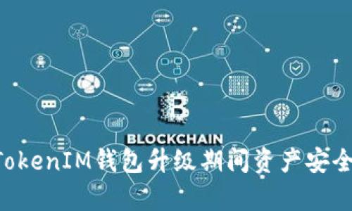 TokenTokenIM钱包升级期间资产安全性解析
