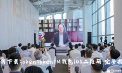 如何下载TokenTokenIM钱包iOS二维码：完整指南