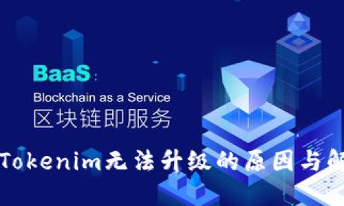 ### Tokenim无法升级的原因与解决方案