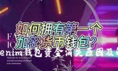 探讨Tokenim钱包资金消失原因及解决方案