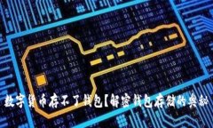 数字货币存不了钱包？解密钱包存储的奥秘