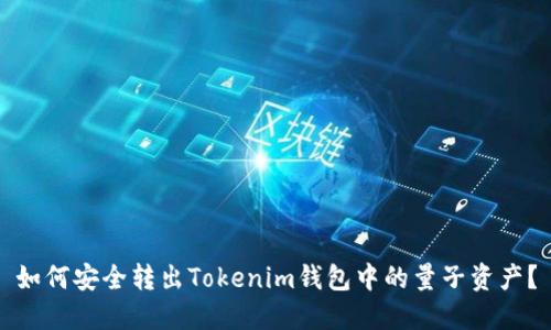 如何安全转出Tokenim钱包中的量子资产？