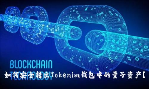如何安全转出Tokenim钱包中的量子资产？
